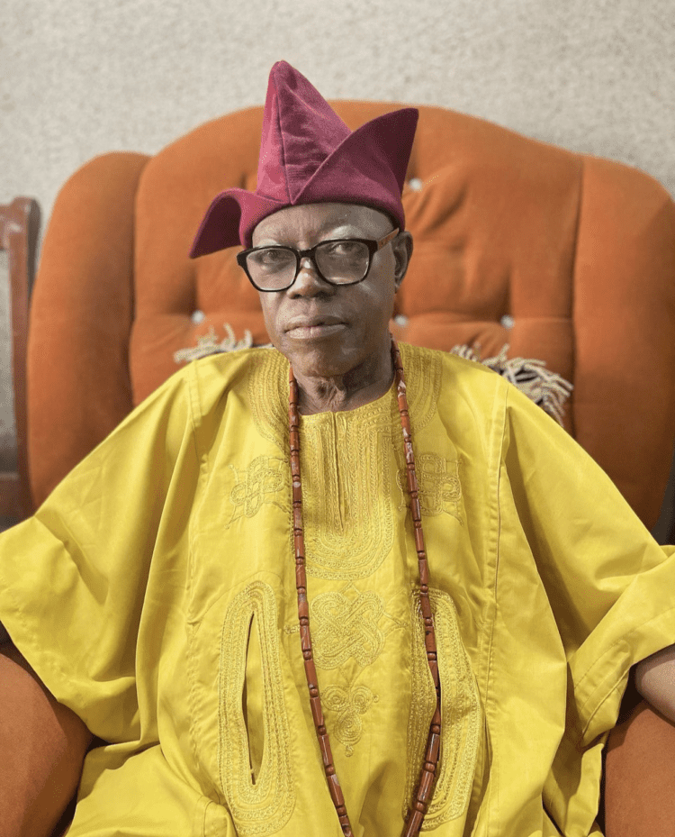 Lekan Balogun Otun Olubadan Age, Biography And Coronation | EntsToday