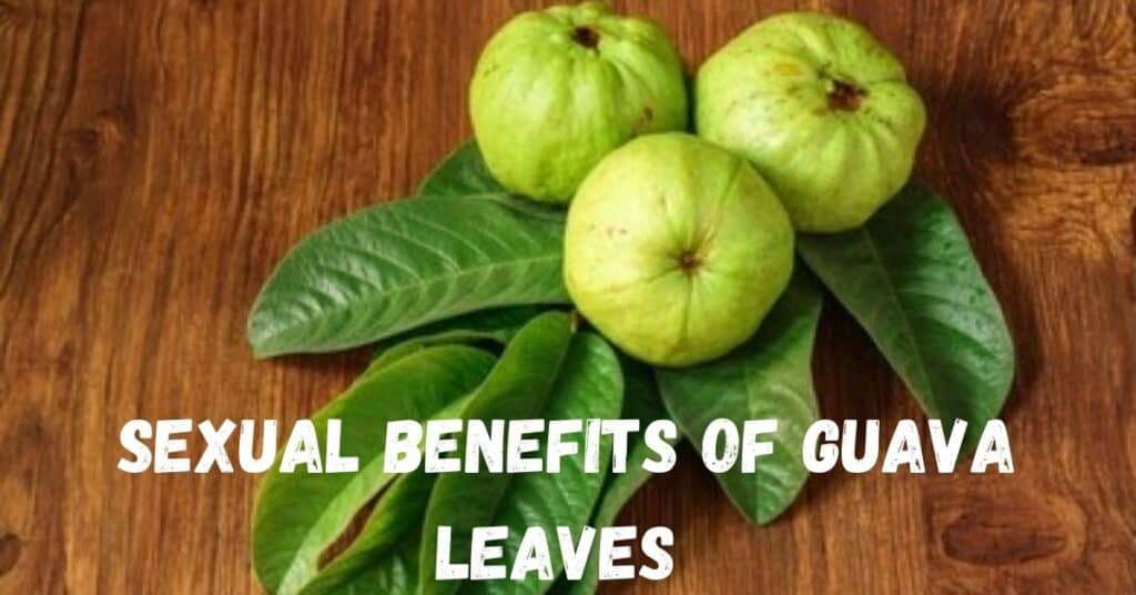 Sexual Benefits of Guava Leaves