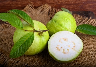 Tropical White Guava
