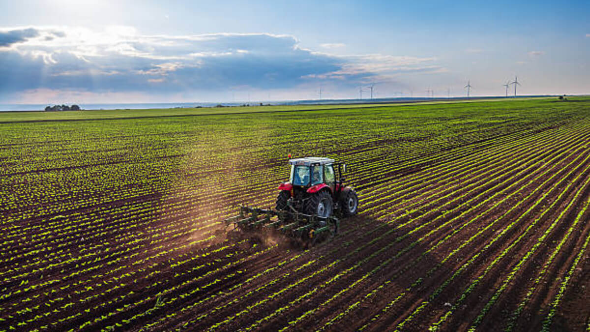 essay on agriculture in nigeria